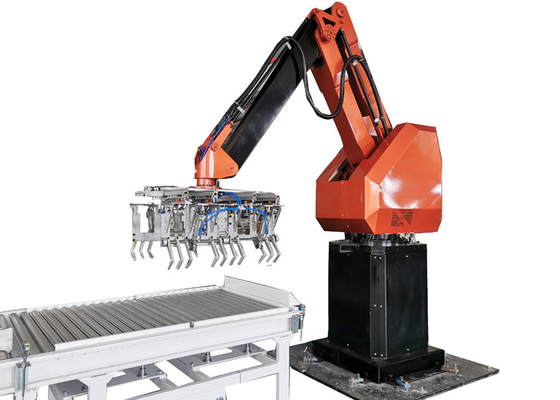 Pick-and-place robotpalletisering met fabriekslay-outontwerp in de chemische industrie