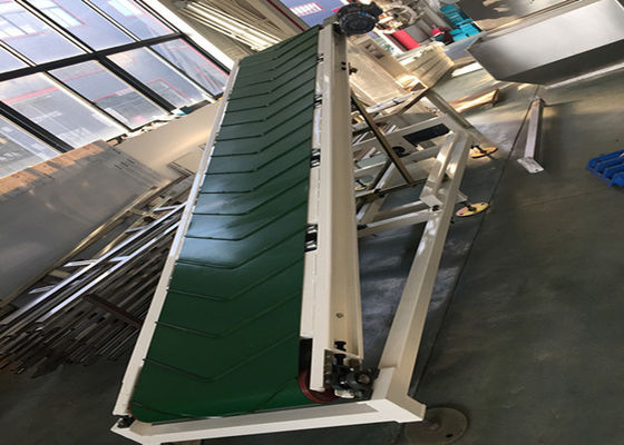 IP65 palletiserende Transportband