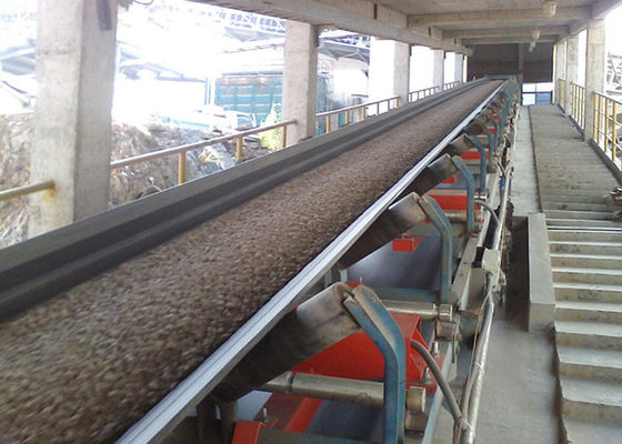 De Transportbandweger van de voedselrang 220VAC 600mm in Zoute Industrie